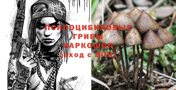 тгк Вязьма