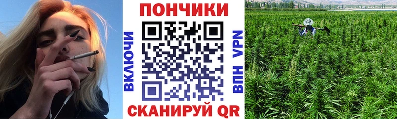 Шишки марихуана планчик  закладка  MEGA зеркало  Нижнекамск 